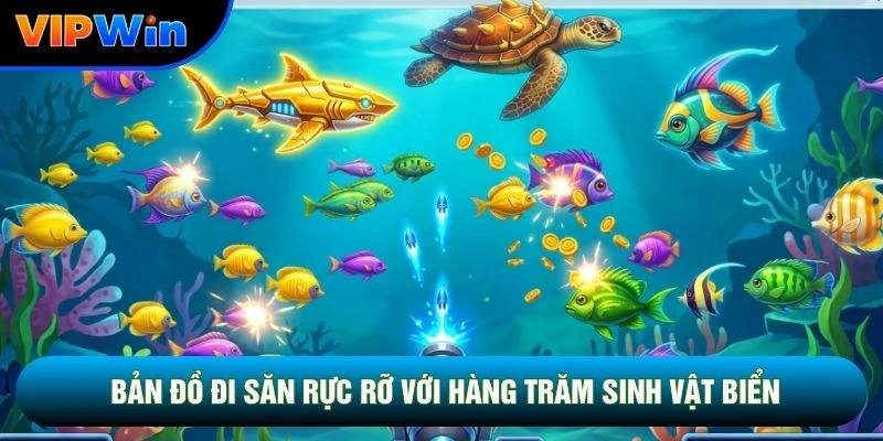 Bản đồ đi săn rực rỡ với hàng trăm sinh vật biển