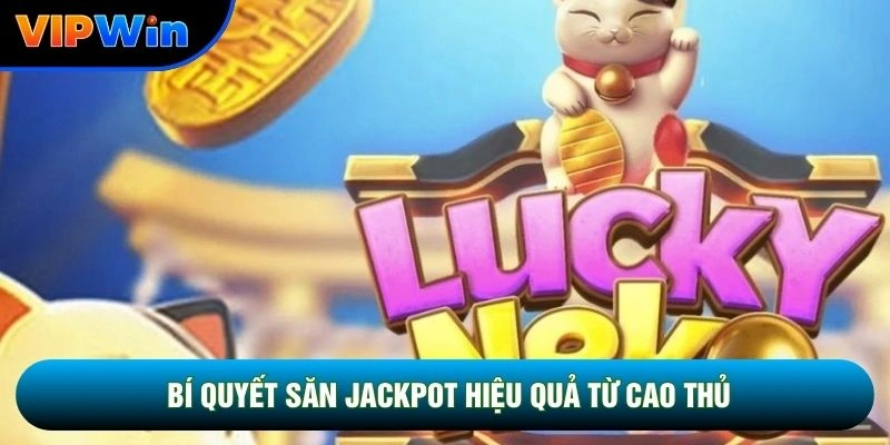 Bí quyết săn jackpot hiệu quả từ cao thủ