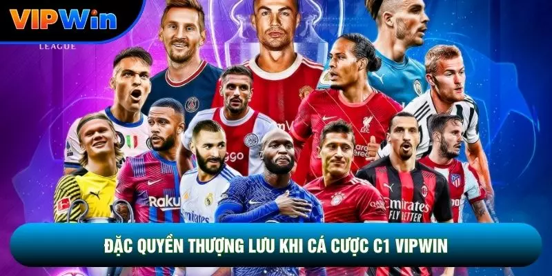 Đặc quyền thượng lưu khi cá cược C1 vipwin