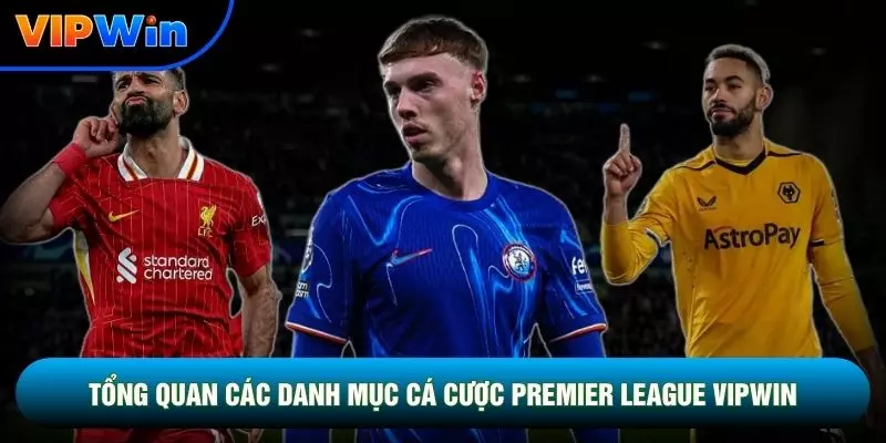 Tổng quan các danh mục cá cược Premier League vipwin