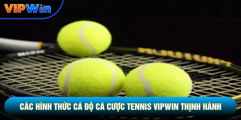 Các hình thức cá độ cá cược tennis vipwin thịnh hành 