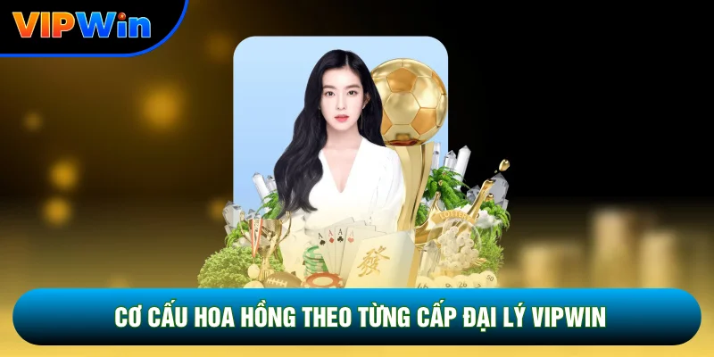 Cơ cấu hoa hồng theo từng cấp đại lý Vipwin