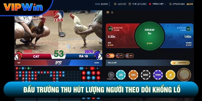 Đấu trường thu hút lượng người theo dõi khổng lồ