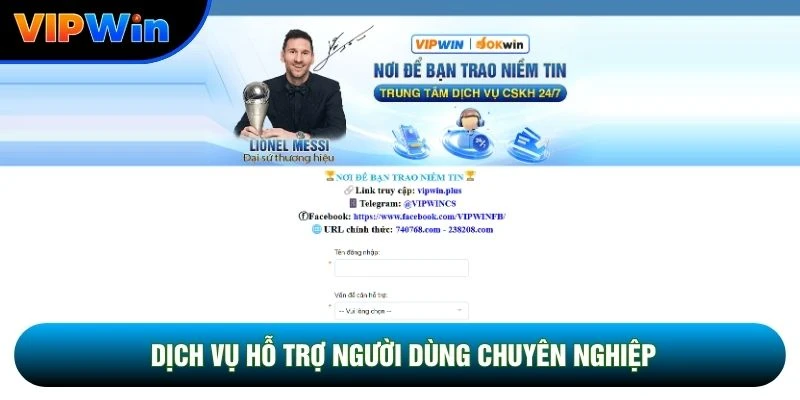 Dịch vụ hỗ trợ người dùng chuyên nghiệp