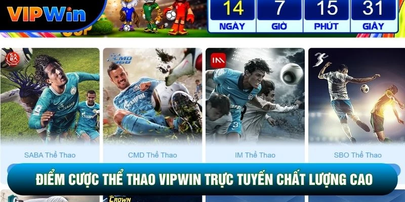 Điểm cược thể thao vipwin trực tuyến chất lượng cao