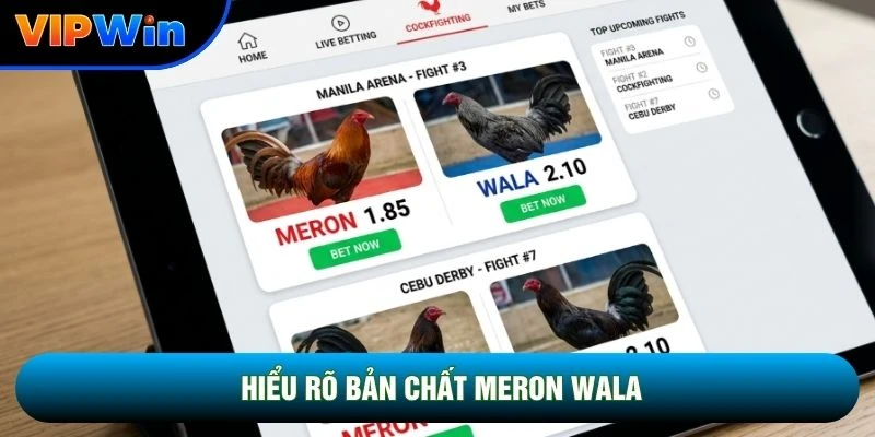 Hiểu rõ bản chất meron wala