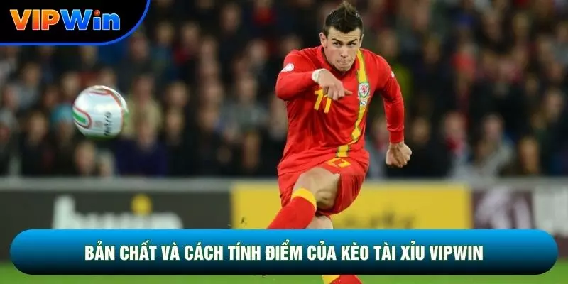 Bản chất và cách tính điểm của kèo tài xỉu vipwin