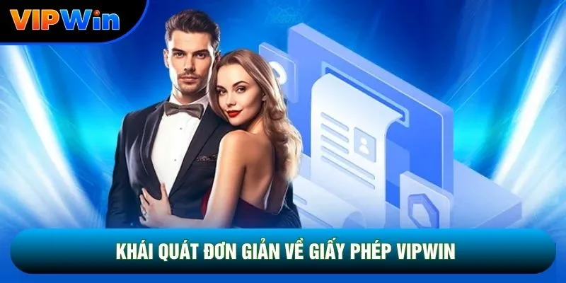 Khái quát đơn giản về giấy phép Vipwin