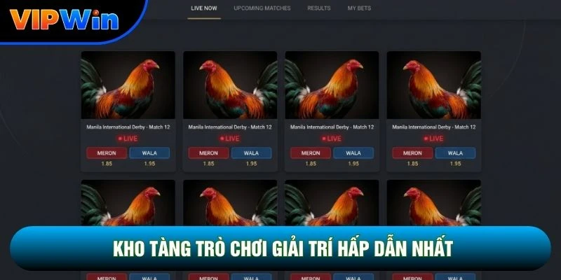 Kho tàng trò chơi giải trí hấp dẫn nhất