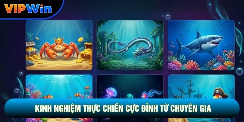 Kinh nghiệm thực chiến cực đỉnh từ chuyên gia