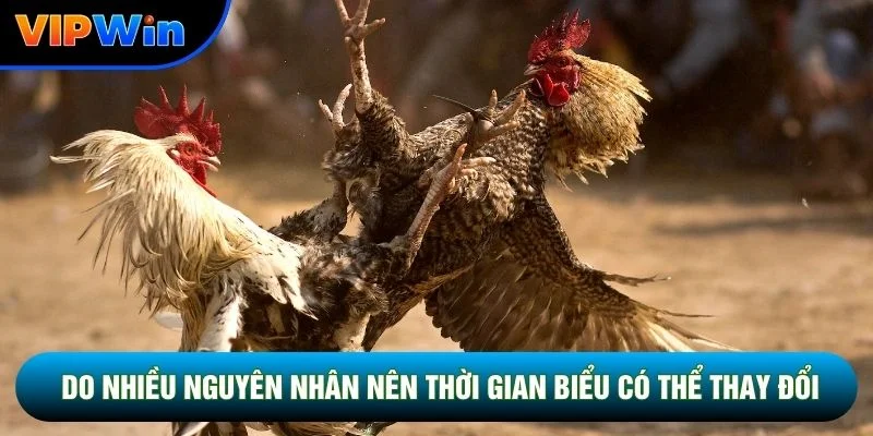 Do nhiều nguyên nhân nên thời gian biểu có thể thay đổi