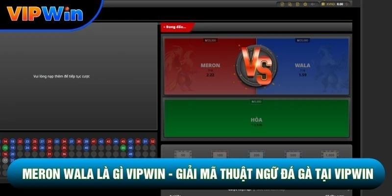 Meron Wala Là Gì Vipwin - Giải Mã Thuật Ngữ Đá Gà Tại Vipwin