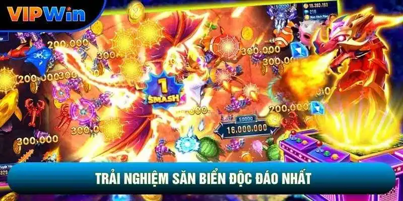 Trải nghiệm săn biển độc đáo nhất